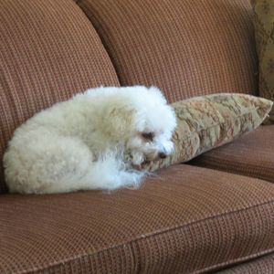 Meet your Posher, Charmaine